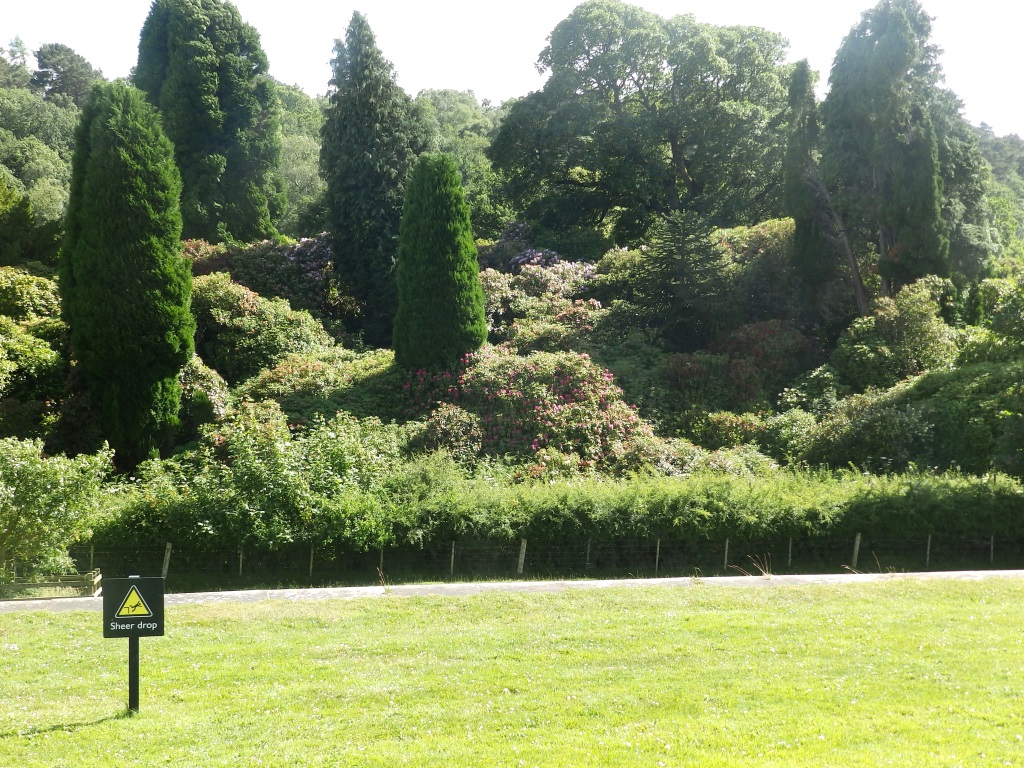 Belsay Hall - Rhododendron Garden
