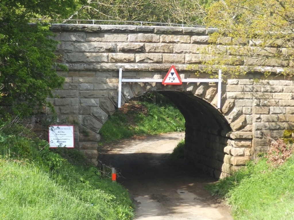 Near Danby - Rail Bridge